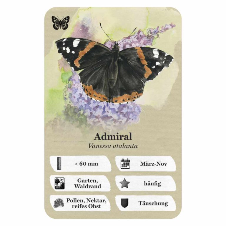 Quartett-Digital-schmetterlinge