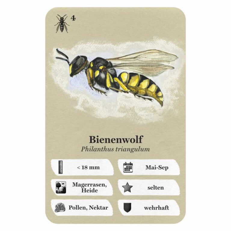 Quartett-Digital-wespen